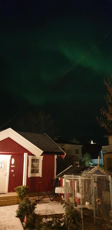 Nydelig Hytte I Kabelvag Lofoten ภายนอก รูปภาพ